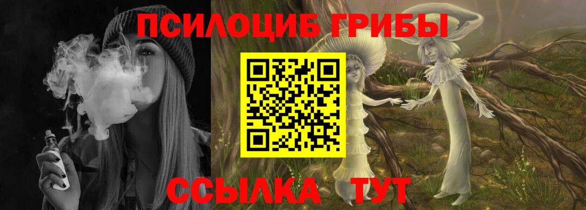 Галлюциногенные грибы Cubensis Волжск